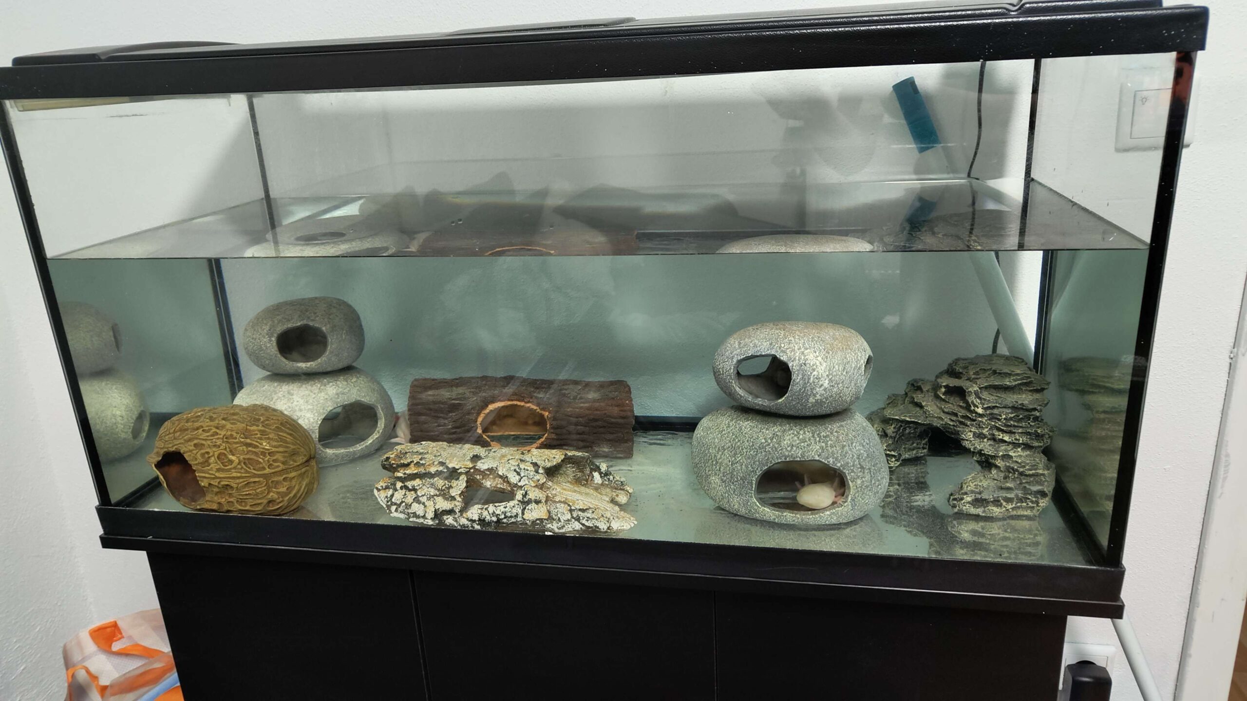 Tierarchiv-Erinnerung