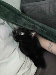 Mia
