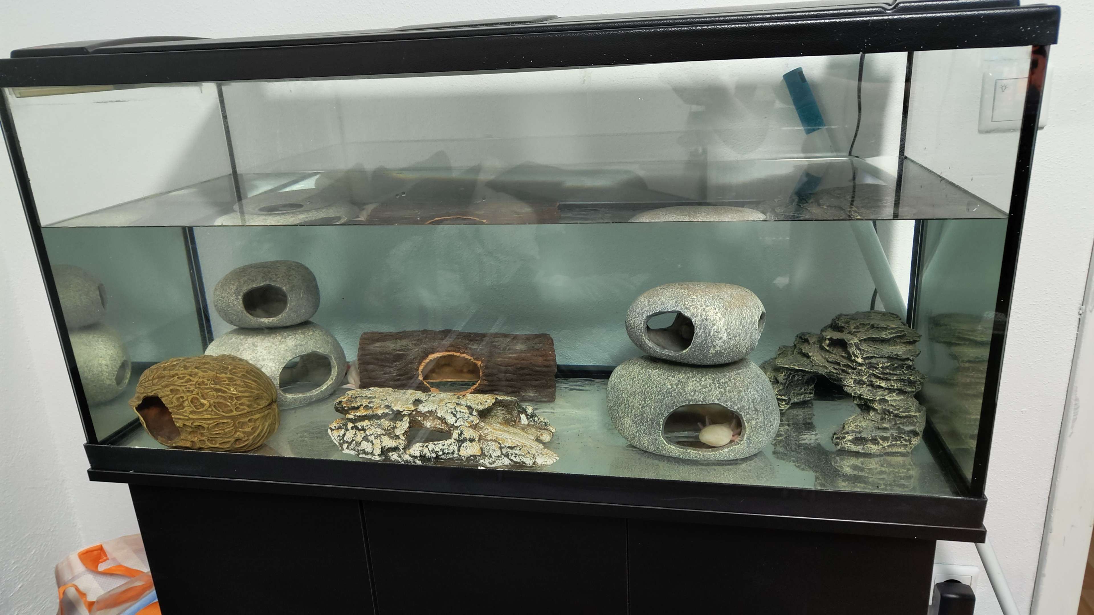 Tierarchiv-Erinnerung