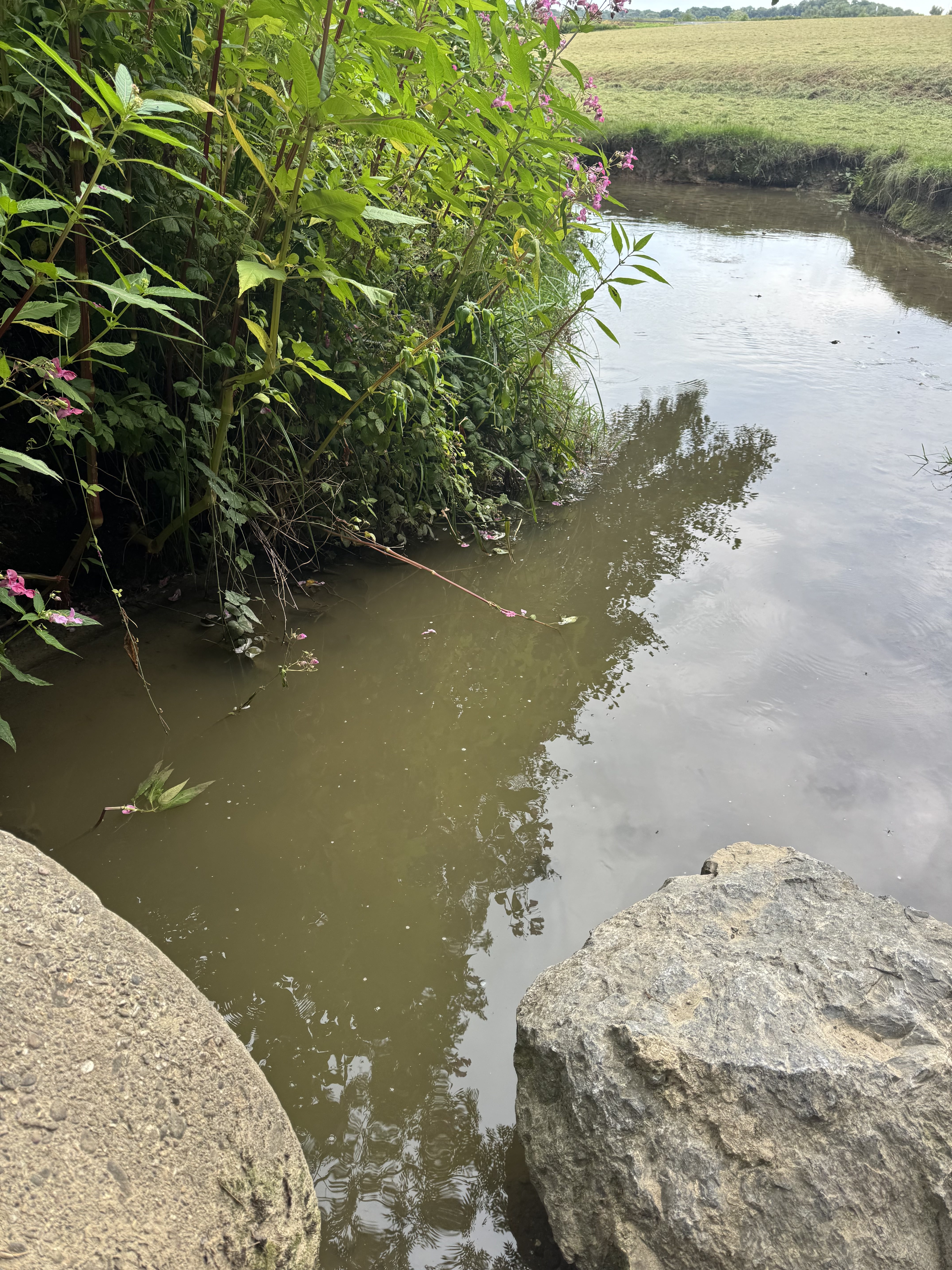 Stream-Moment