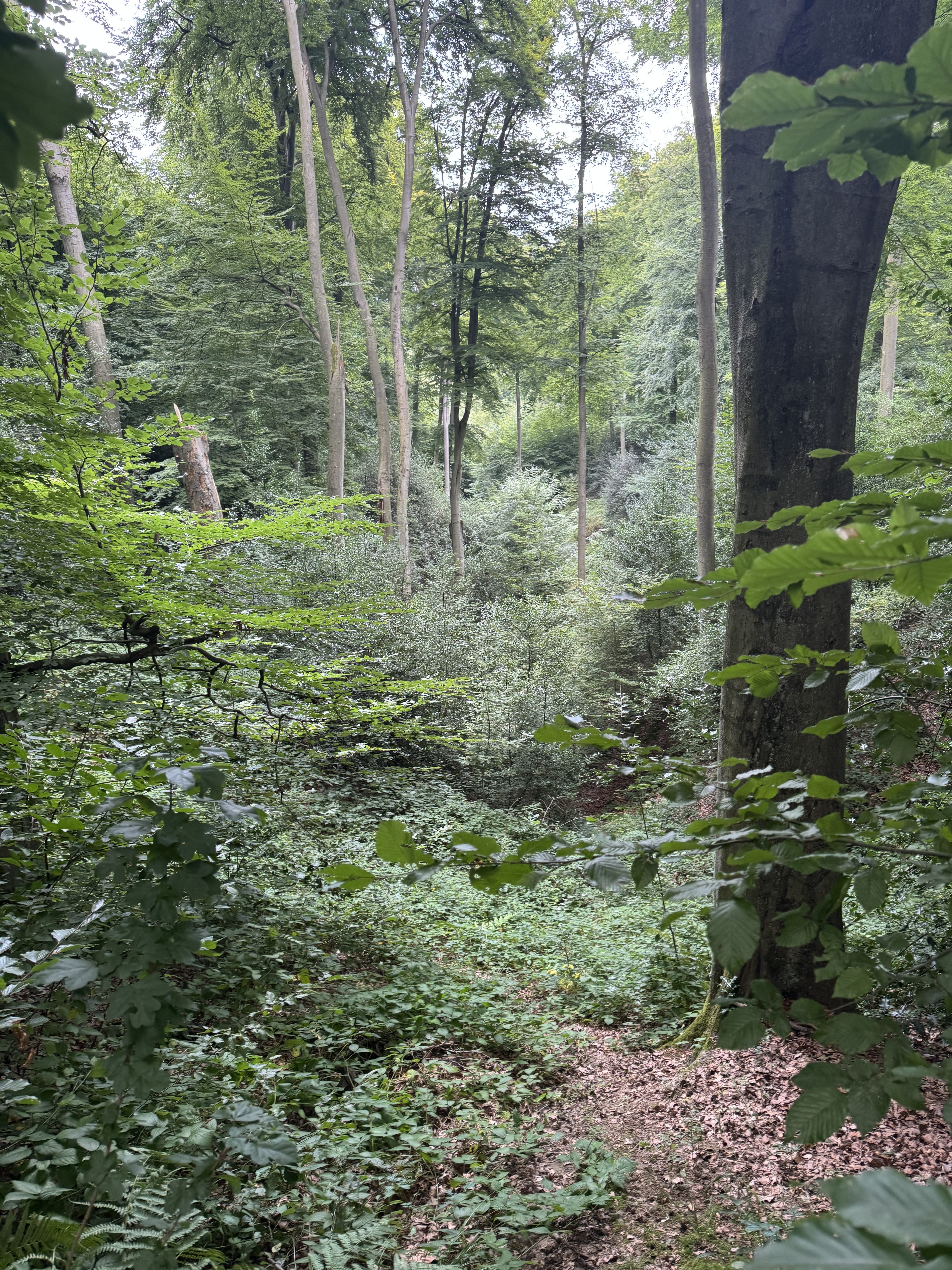 Stream-Moment