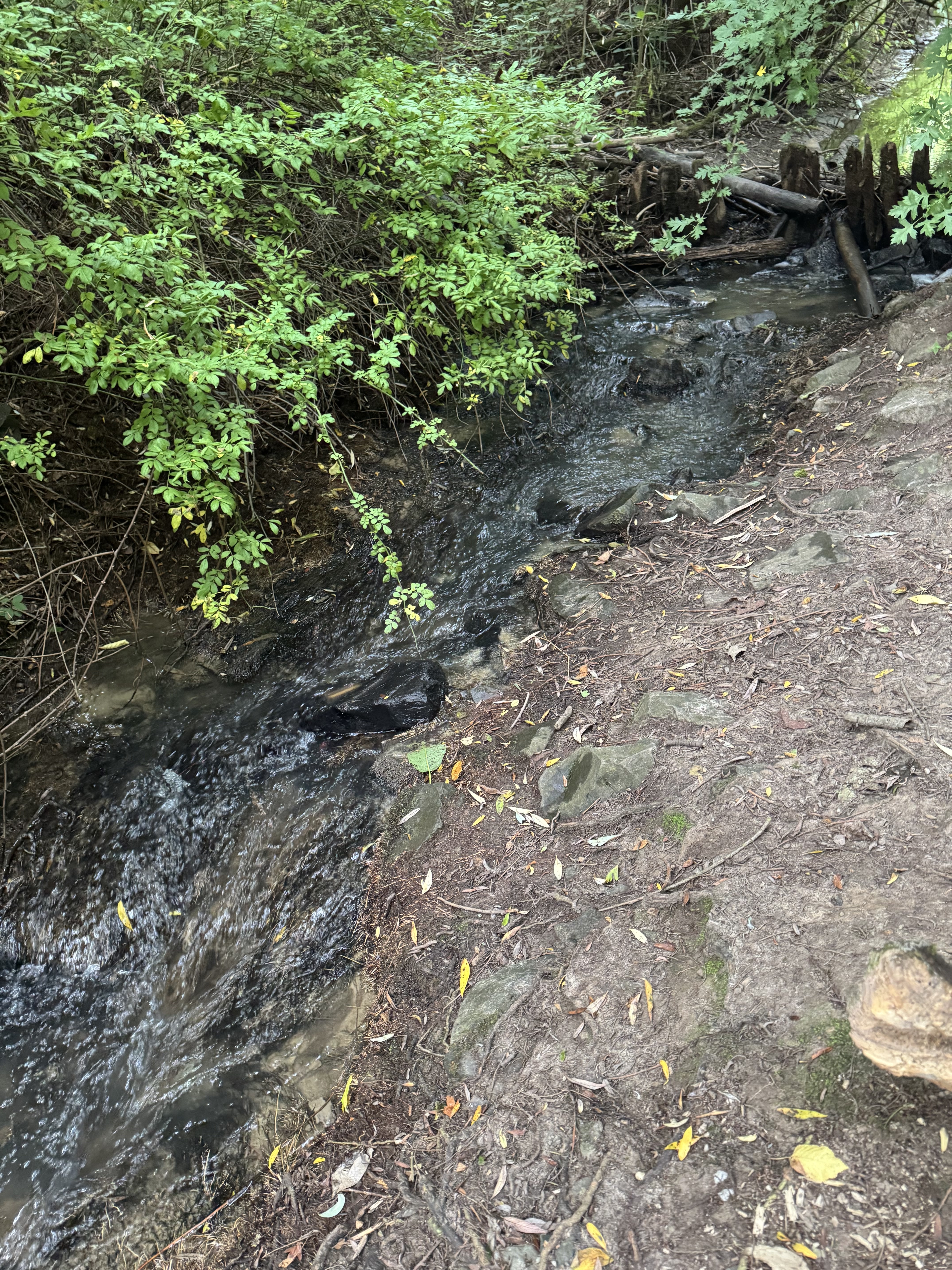 Stream-Moment